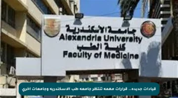 قيادات جديدة.. قرارات مهمة تنتظر جامعة طب الإسكندرية وجامعات أخرى